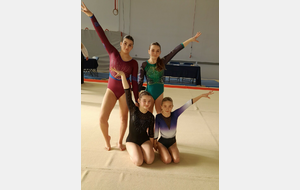 Annecy - Fédérale A1